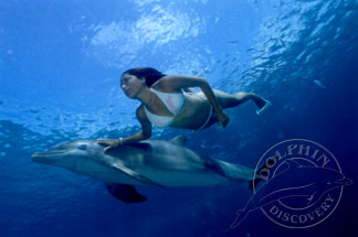 delfines-01.jpg