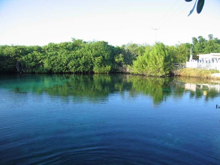 Resultado de imagen para cenote azul riviera maya